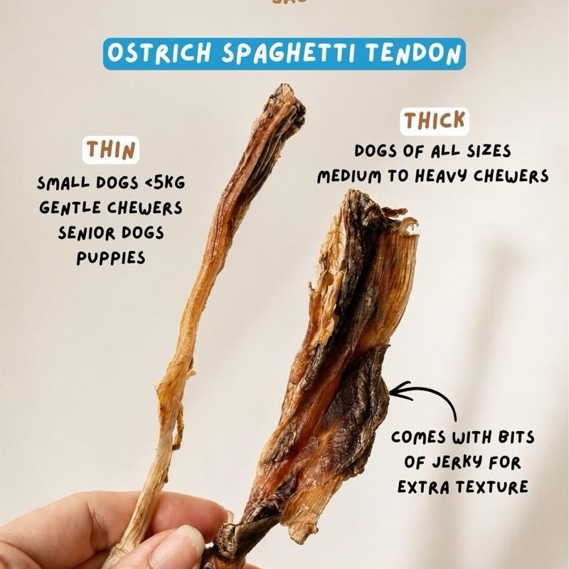 Ostrich Spaghetti Tendon (single ingredient dog treats, dog dental chew)