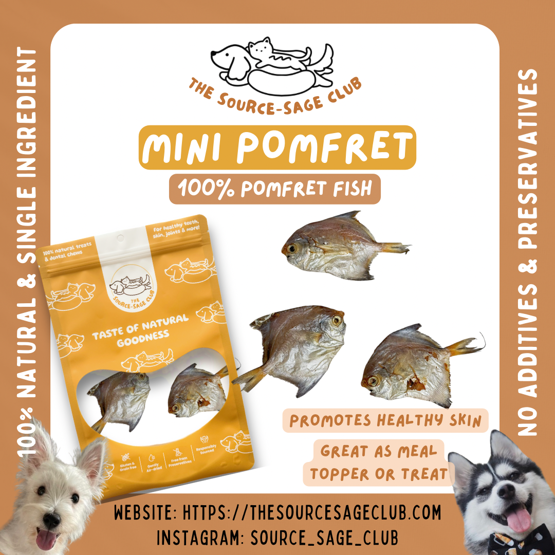 Nian Nian You Yu, Baby Pomfret 15 to 20 pcs / 100g for dogs and cats (single ingredient dog treats, dog dental chew)