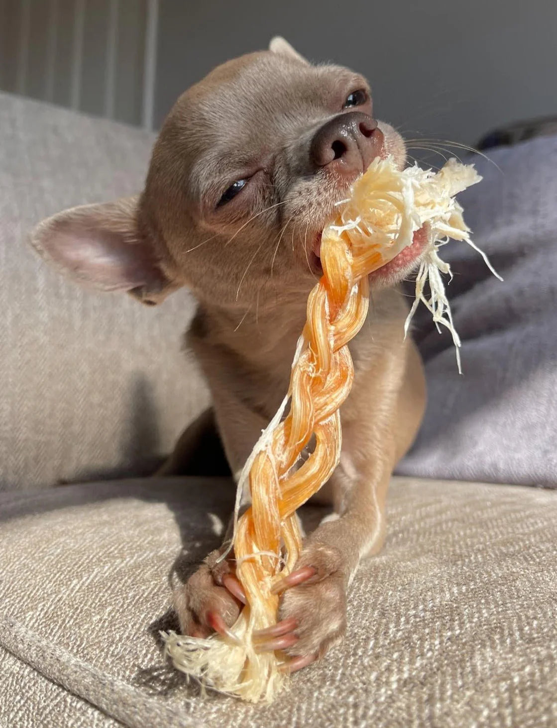 Air Dried Braided Ostrich Tendon (single ingredient dog treats, dog dental chew)