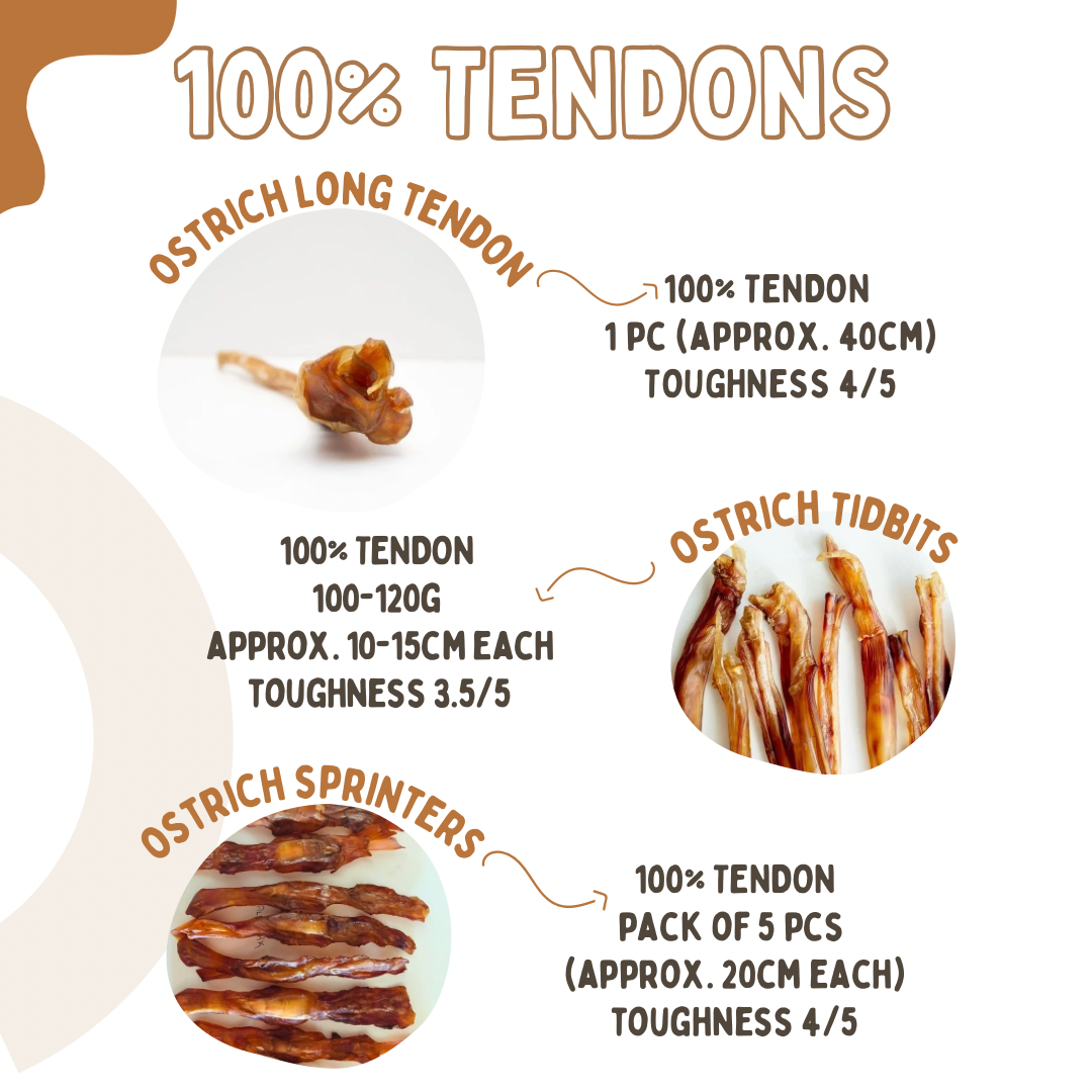 Ostrich Tendon Sprinter and Tidbits (single ingredient dog treats, dog dental chew)