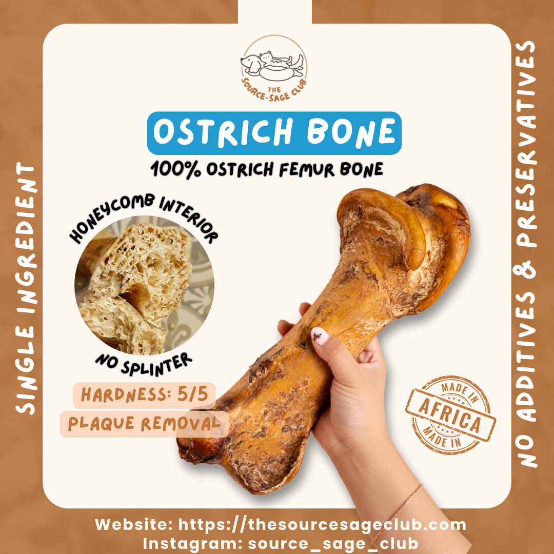 [10 PCS BULK PACK - 15% OFF] Air Dried Premium Large Ostrich Bone (single ingredient dog treats, dog dental chew)
