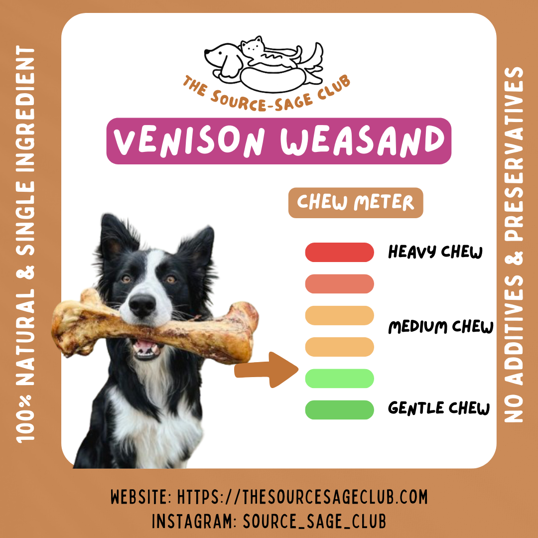 [1KG PACK - 20% OFF] Air Dried New Zealand Venison Weasand (Esophagus) (dog dental chew dog treats)