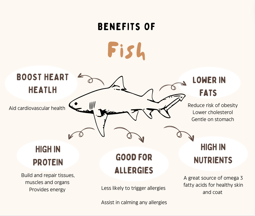 Air Dried Australian Fish Fingers Jerky (single ingredient dog treats, dog dental chew)