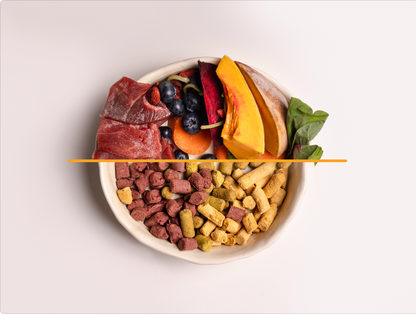 FREZ Eyes Health - Freeze Dried Pork, Blueberry & Goji Berries  (Dog and Cats Treats)