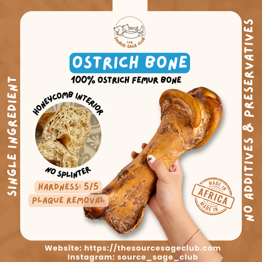Air Dried Premium Large Ostrich Bone South Africa (single ingredient dog treats, dog dental chew plaque removal)