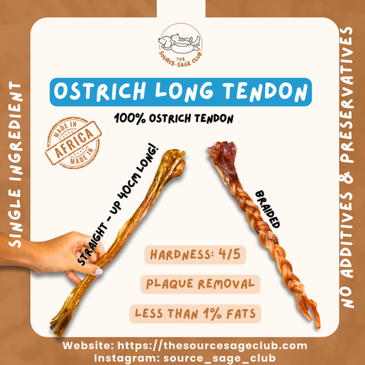 Air Dried Ostrich Long Tendon 1pc 40cm long (single ingredient dog treats, dog dental chew)
