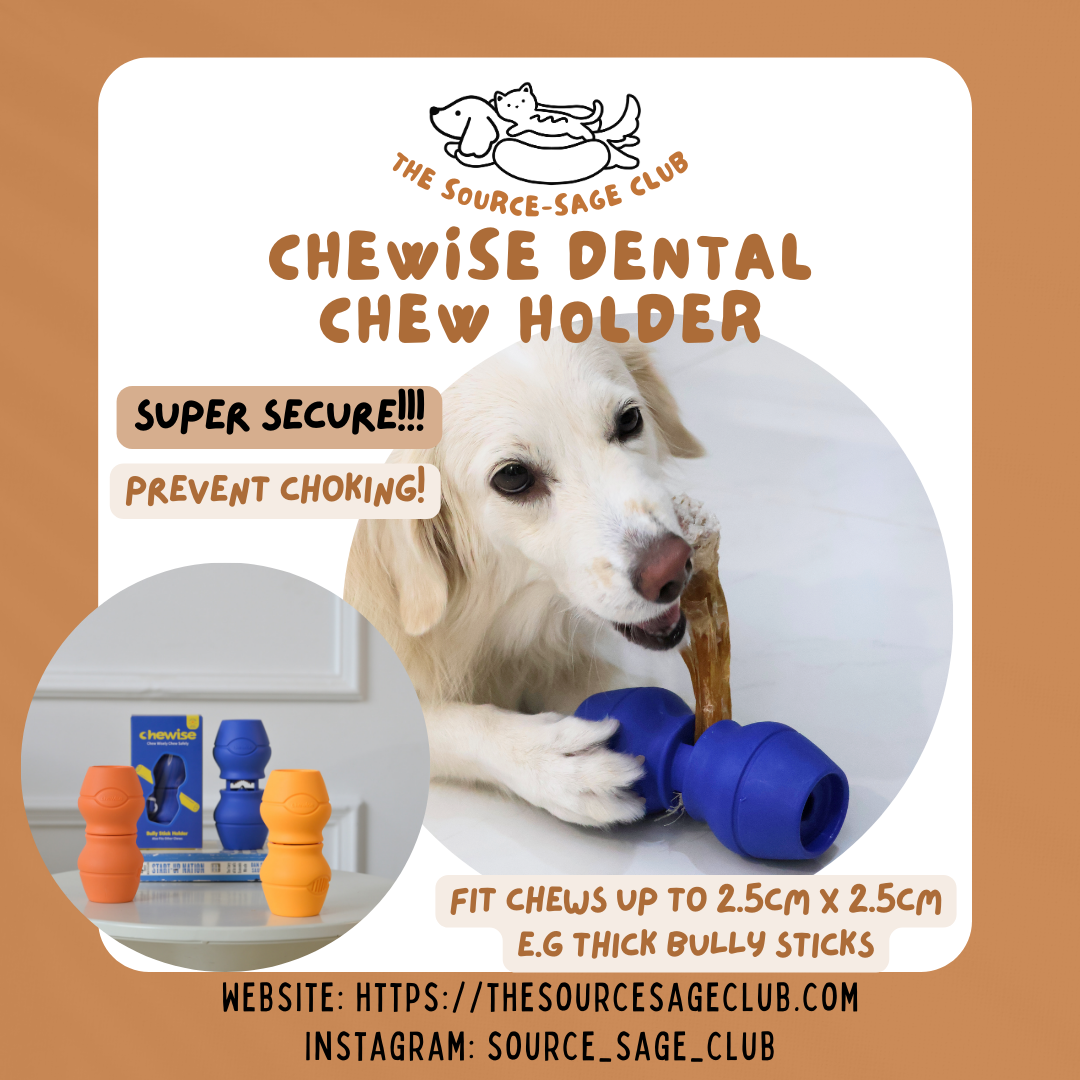 Chewise Dental Chew Holder (super secure and prevents choking, bully sticks holder, dental chew holders for dogs)