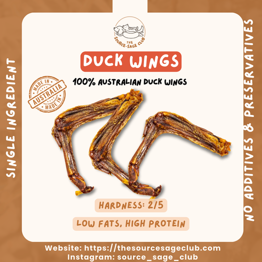 [1KG PACK - 15% OFF] Air Dried Australian Duck Wings (single ingredient dog treats, dog dental chew)