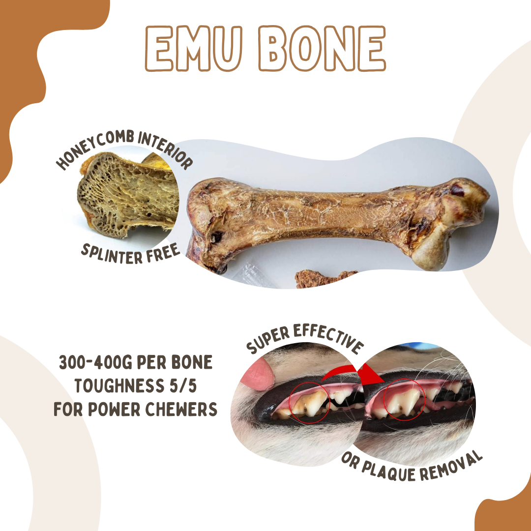 Air Dried Australian Emu Hip Bone (dog treats dog dental chew)
