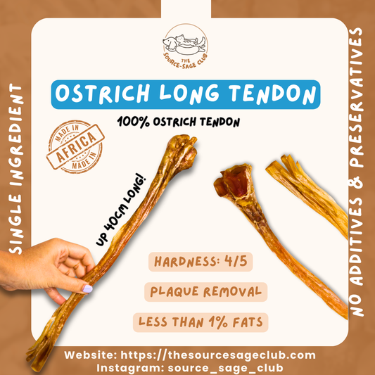 [10 PCS BULK PACK - 15% OFF] Air Dried Ostrich Long Tendon 1pc 40cm long (single ingredient dog treats, dog dental chew)
