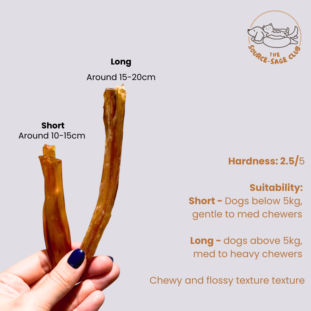 Ostrich Tidbits Tendon (single ingredient dog treats, dog dental chew)  Sourcesage Club