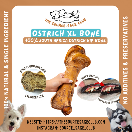 Air Dried Premium XL Ostrich Bone (single ingredient dog treats, dog dental chew)