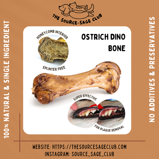 Premium XL Ostrich Bone / Ostrich Riblet (dog treats dog dental chew)