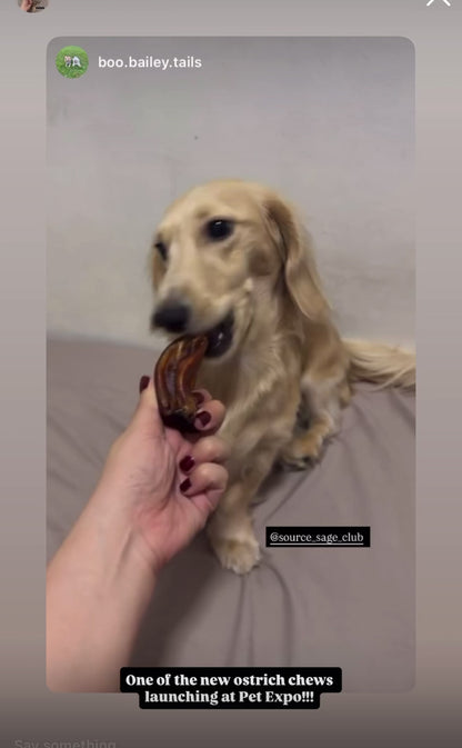 Air Dried Ostrich Kneecap Tendon (single ingredient dog treats, dog dental chew)