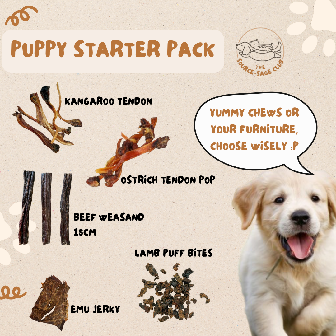 Puppy Starter Pack (dog dental chews and treats) 10% off!