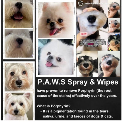 (For Furry Friends) P.A.W.S Wipes 60pcs