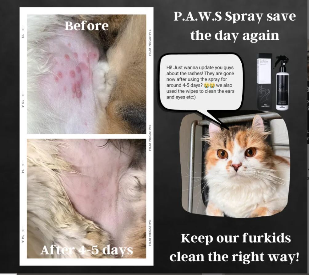 (For Furry Friends) Pet's Activated Water Sanitizer (P.A.W.S)