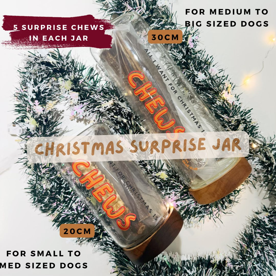 Christmas Advent Surprise Jar (with dental chews)