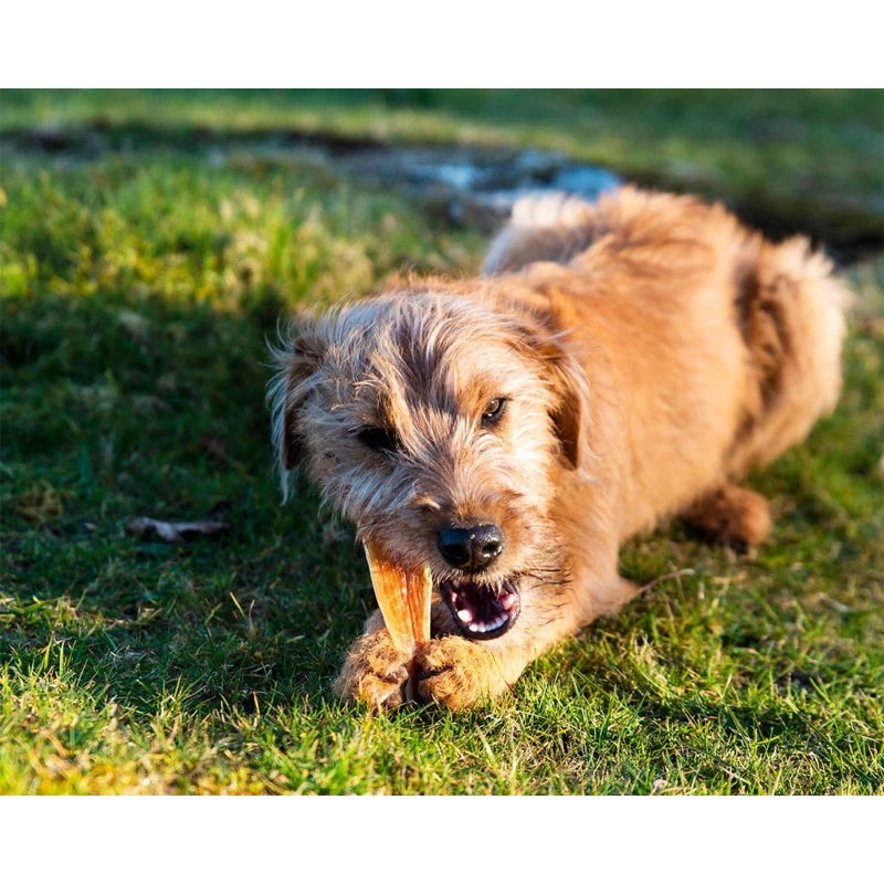 Air Dried Pressed Ostrich Tendon Strips (dog treats dog dental chew)