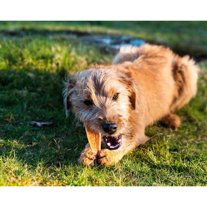 Air Dried Flat Ostrich Tendon Strips (single ingredient dog treats, dog dental chew)